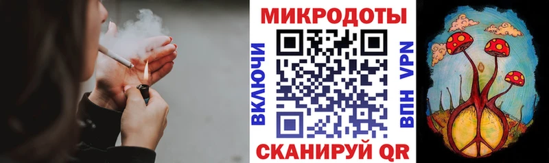 как найти закладки  Городовиковск  Галлюциногенные грибы Psilocybe 
