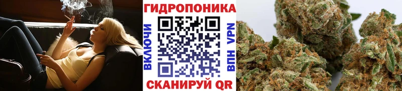 OMG ссылки  продажа наркотиков  Городовиковск  Канабис план 